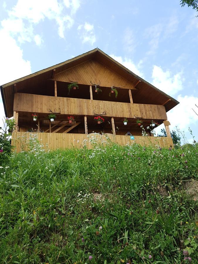 ラキツェレ Cabana Suciuヴィラ エクステリア 写真